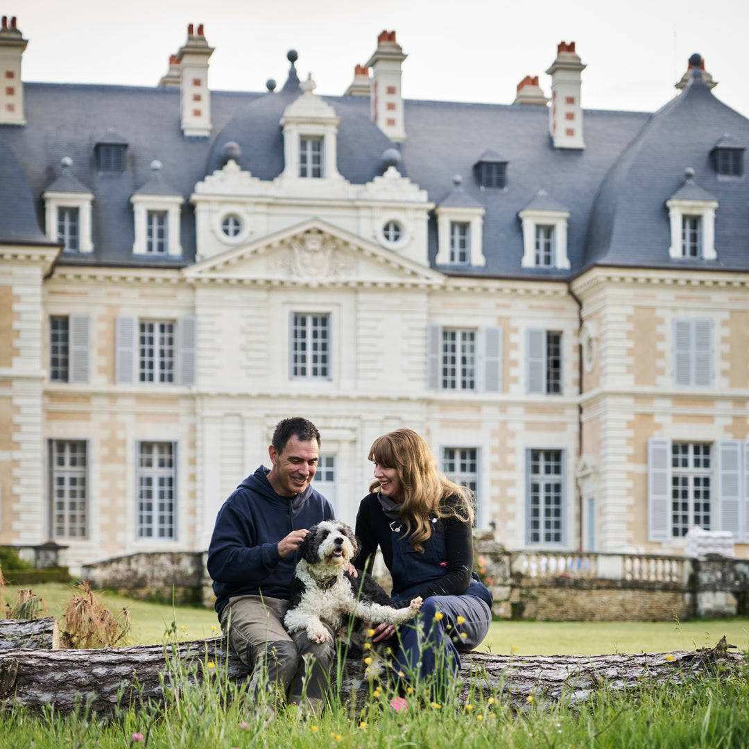 Reawakening Château de Purnon